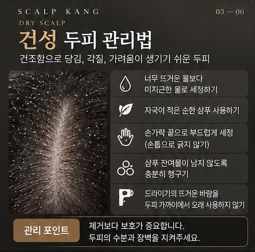 환절기 두피 관리 건성 두피 관리법과 관리 포인트